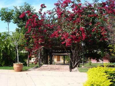 Hotel Fazenda Do Bertione Миранда Экстерьер фото